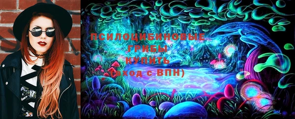 героин Алексин