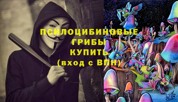 прущие крисы Алексеевка